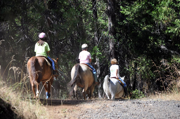 Trail ride & lesson in the Sierra foothills, near Jack Tone Ranch.
