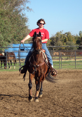 Adult riding lesson, Hammertime Arena at Jack Tone Ranch